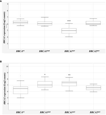 Similarities and differences in gene expression profiles of BRCA1 methylated and mutated epithelial ovarian cancers